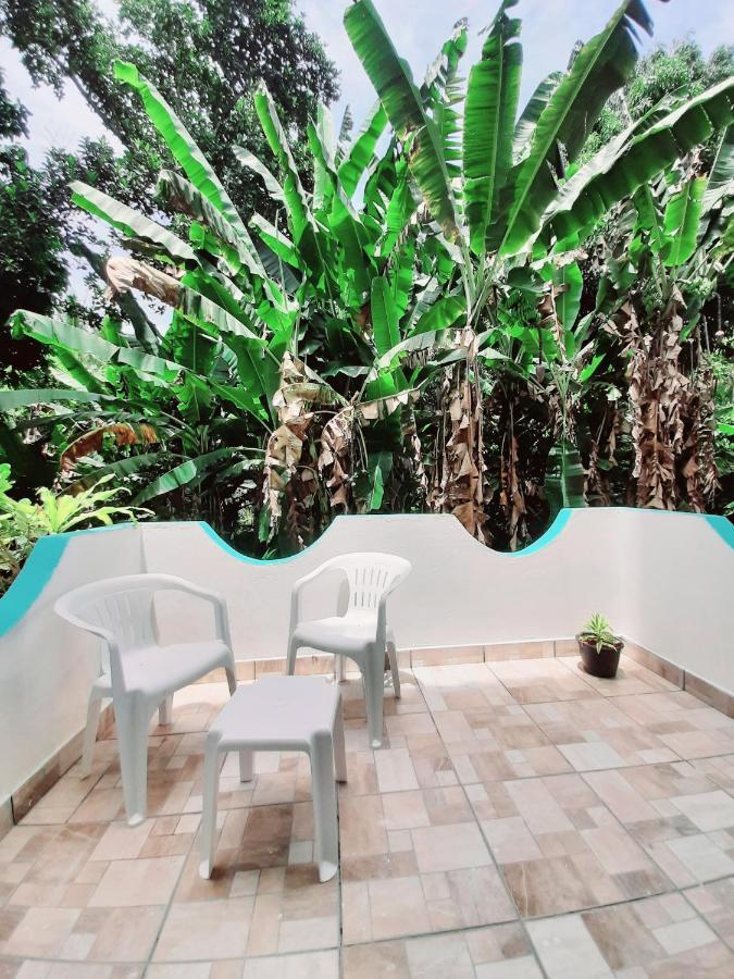 Pousada Sonho Da Bahia - Suites ポルトセグロ 部屋 写真